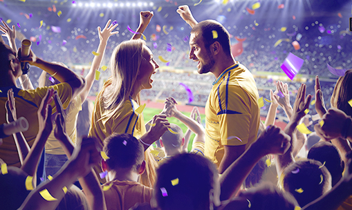 Voetbalwedstrijden, stadiontours...