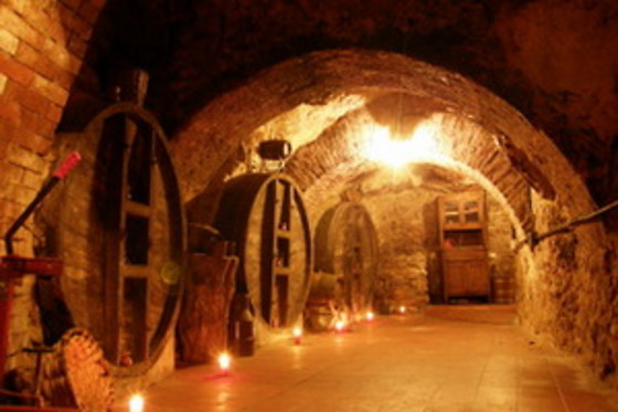 BODEGAS HISTORICA DON CARLOS - photo 5