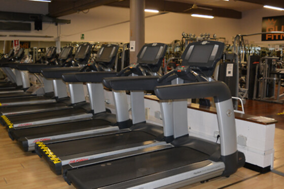 Queen Fitness - photo 6