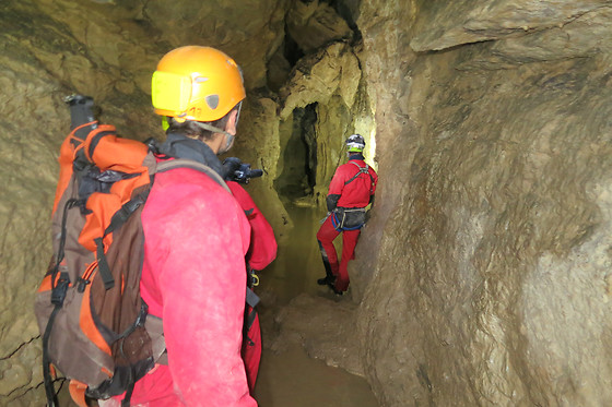 Noa guides - photo 1