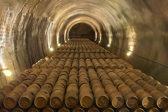 BODEGAS VINÍCOLA REAL - photo 2
