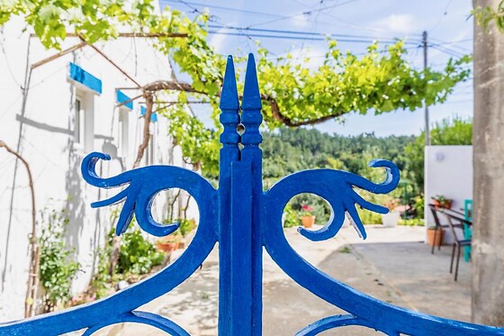 LAMEIRA DA LONGRA - photo 1