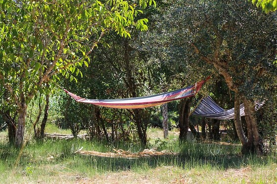 LAMEIRA DA LONGRA - photo 4