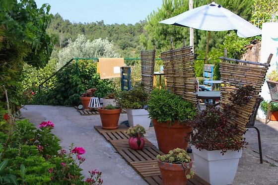 LAMEIRA DA LONGRA - photo 5