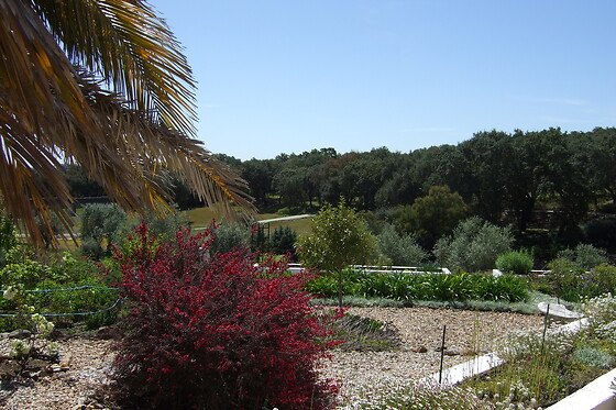 Quinta do Cano - photo 8