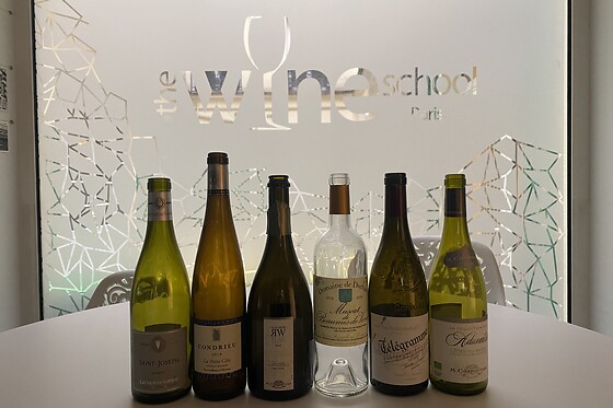 The Wine School - photo 4