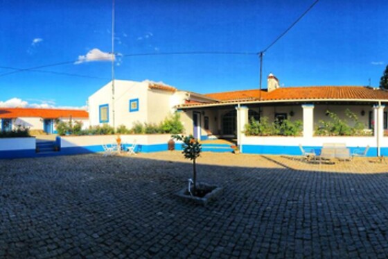 Monte da Oliveirinha Country House - photo 6