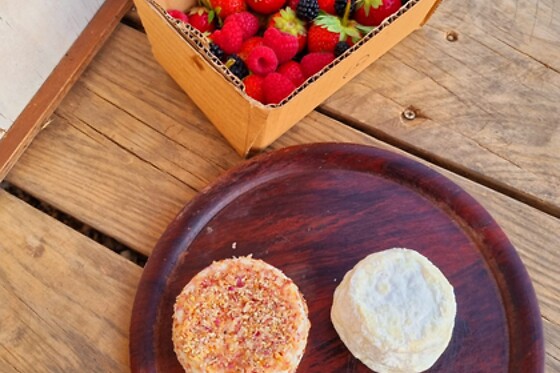 Monte Amadia - photo 10