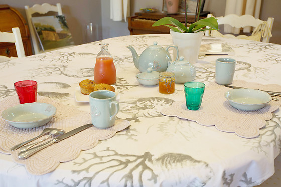 Les Figuiers - photo 20