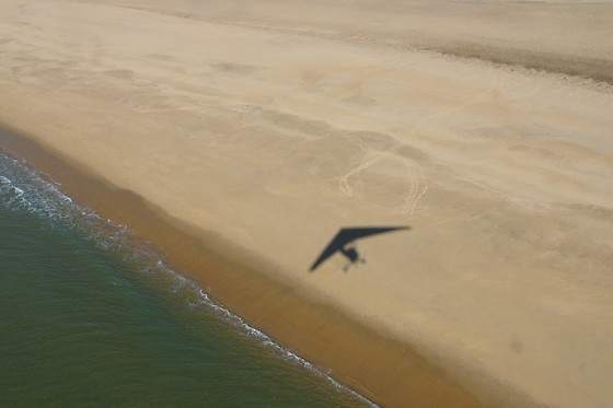 Vol d'Oiseau - photo 0