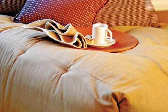 HOTEL ASTURES - photo 11