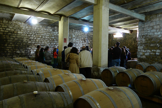 BODEGA MARQUES DE MONTECIERZO - photo 8