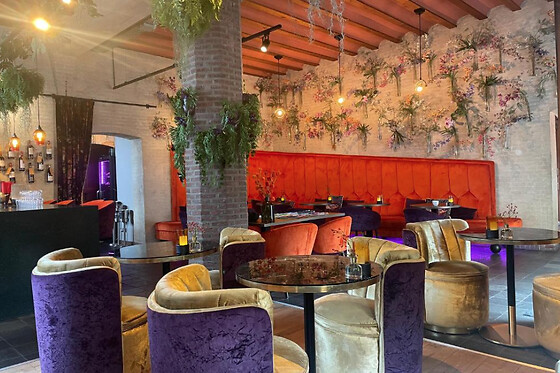 Boutique Hotel The Roosevelt - photo 5