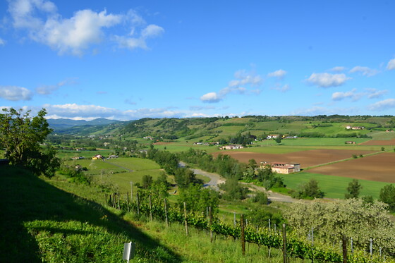 Montesissa - photo 0