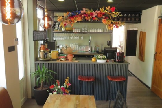 toelsie's den haag - photo 2