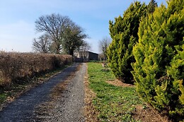 Traitsanes