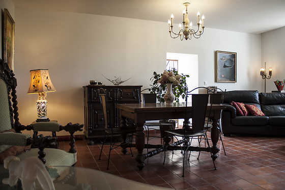 Le relais du chat prosper - photo 2
