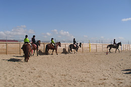 CENTRO ECUESTRE LOS CABALLOS DE LA RIBERA