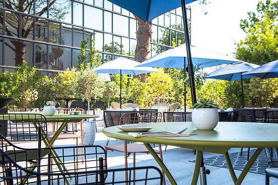 Golden Tulip Aix En Provence - photo 6