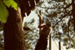 Forêt adrénaline rennes gayeulles