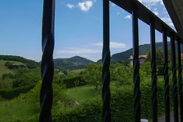 TOLARE BERRI