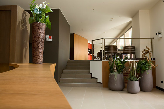 Red's Redaelli Hotel - photo 1