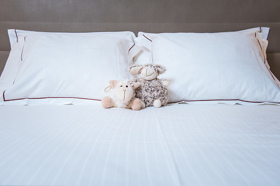 Red's Redaelli Hotel - photo 10