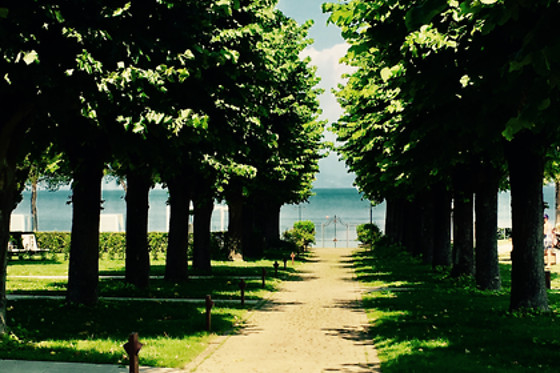 Splendido Bay - photo 6