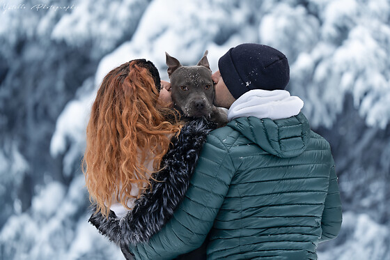 ystelle photographie - photo 2