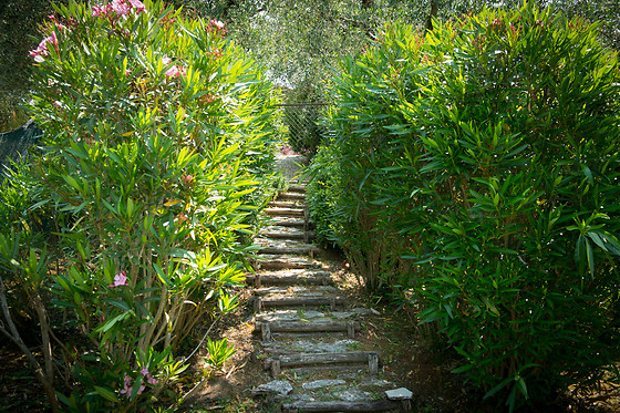 Agriturismo Al Vecchio Metato - photo 10