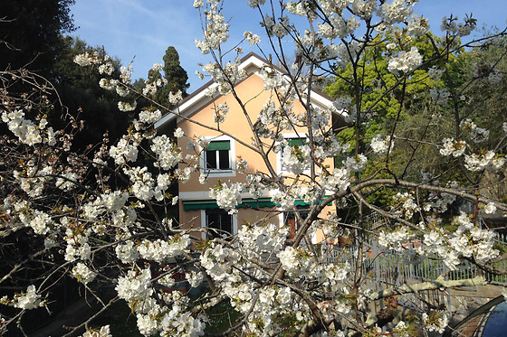 B&B La Rosa Segreta - photo 3