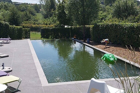 Ecochique - photo 3