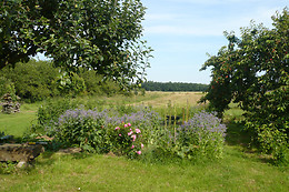 Lilac Cottage