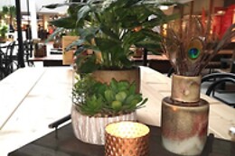 Brasserie la Plaza