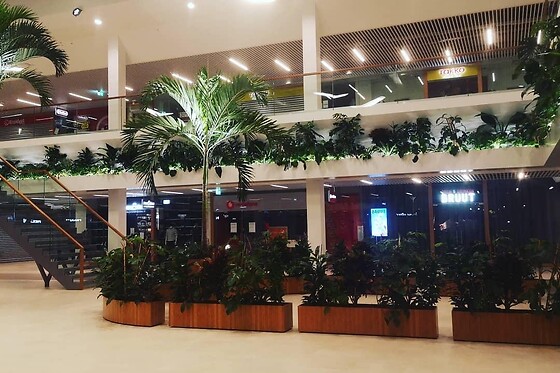 Brasserie la Plaza - photo 4