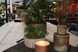 Brasserie la Plaza
