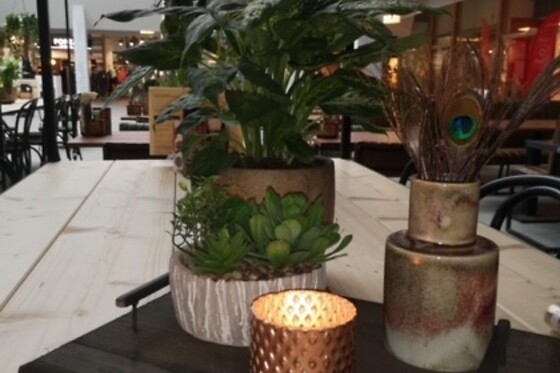 Brasserie la Plaza - photo 7