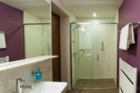 Hotel Carol - photo 16