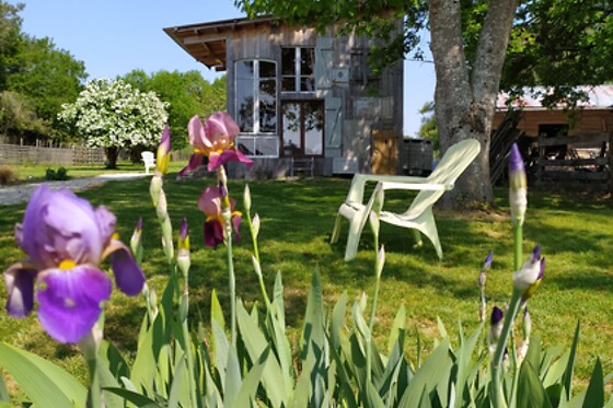 La Chouette Étoilée - photo 19