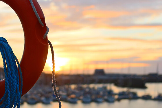 MUNDO MARINO MÁLAGA - photo 12