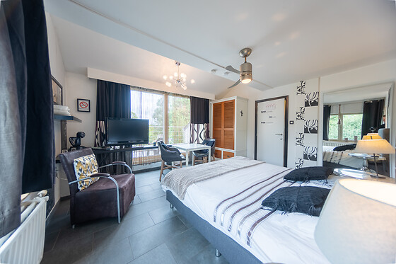 De Witte Merel & Hotel at home - photo 14