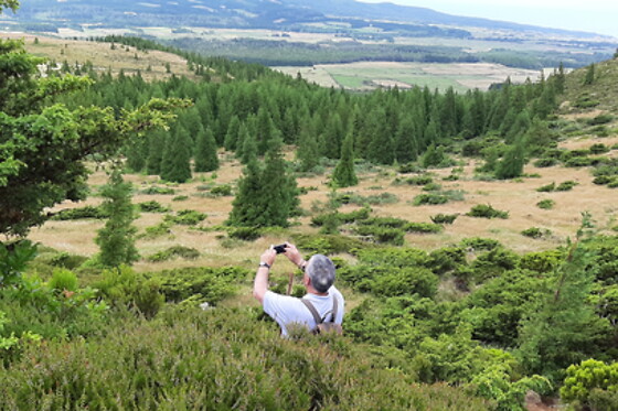 Azores Nature Tours - photo 22