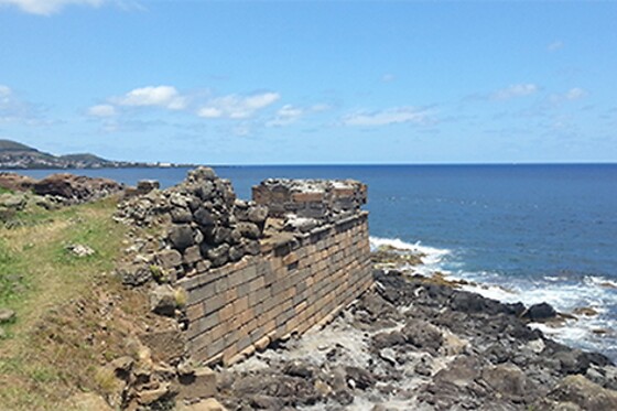 Azores Nature Tours - photo 1