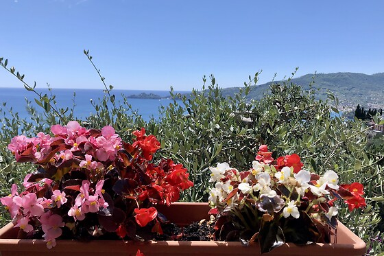 Glamping Portofino - photo 10