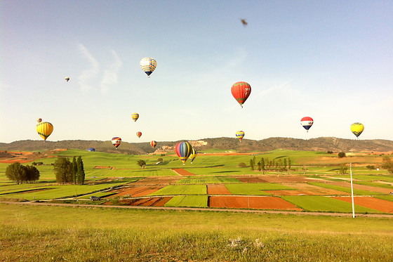 EOLOMARKETING - photo 7