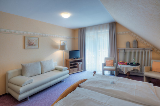 Hotel Am Schwanenweiher - photo 1