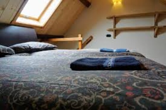 Hostel Kersenhof - photo 3