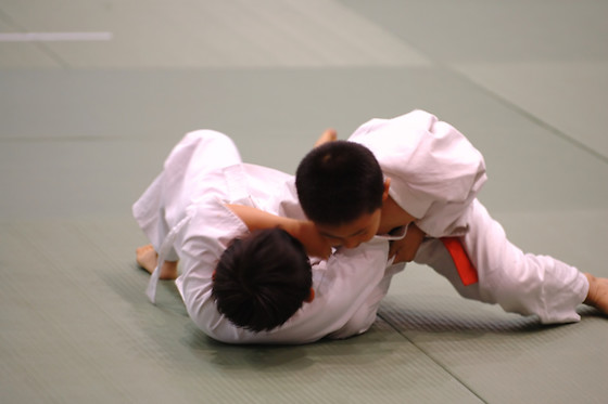 BOWGYM - photo 6