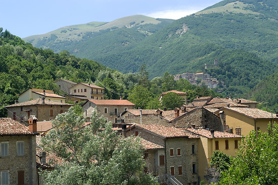 CASA DA URZE - photo 0