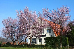 B&B Sagenland
